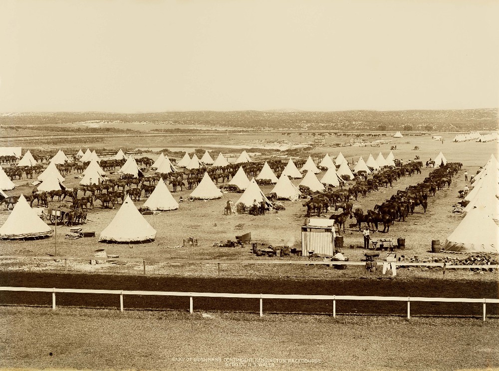 Camp of Bushmen's contingent Camp of Bushmen's contingent, Kensington Racecourse, Sydney, NSW, c.1900.  Photo Investigator digital id 1254_a011_a011000019r.jpg