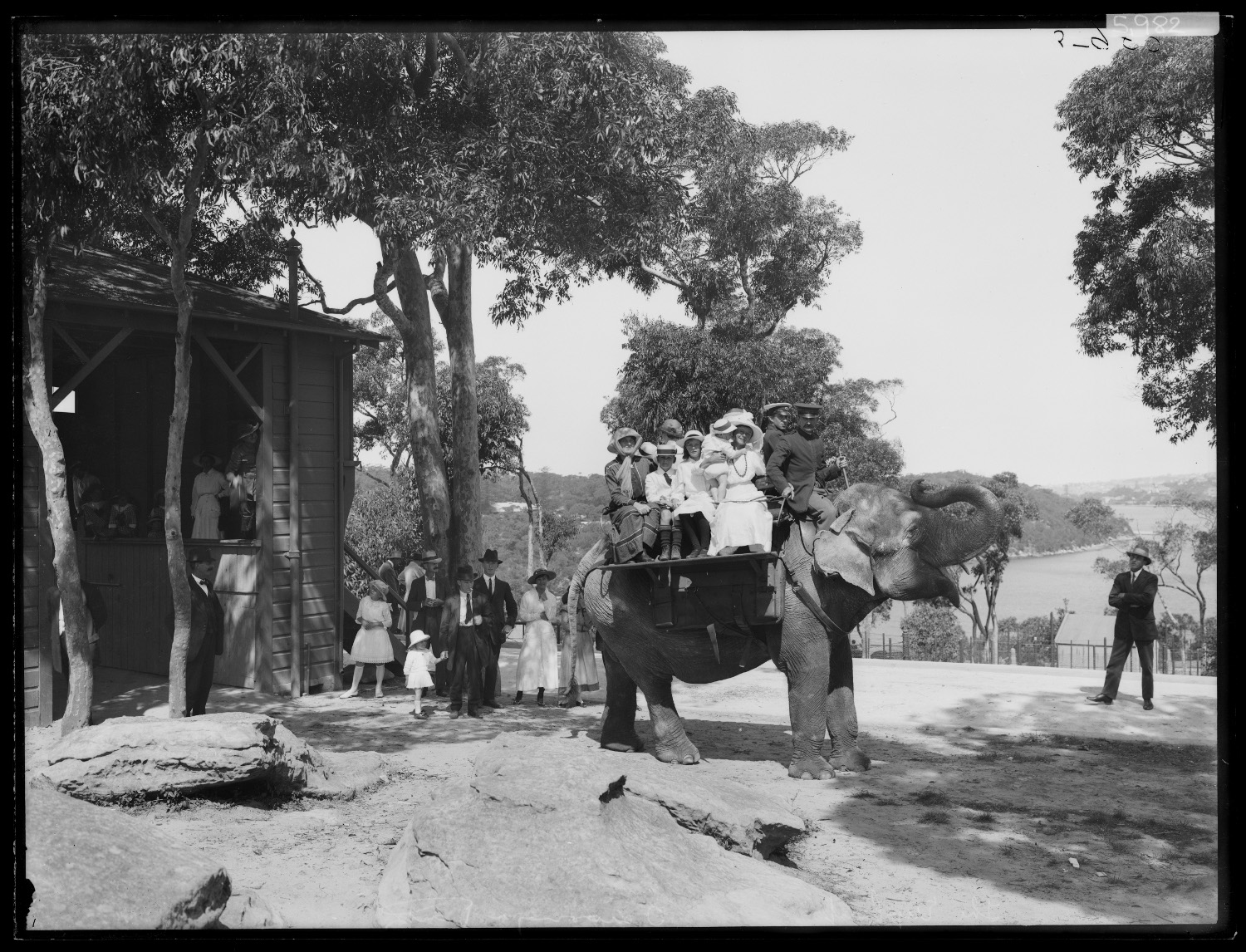 The elephant at Taronga Zoological Park, February 1917. Digital ID NRS4481 7_16382 ST5982