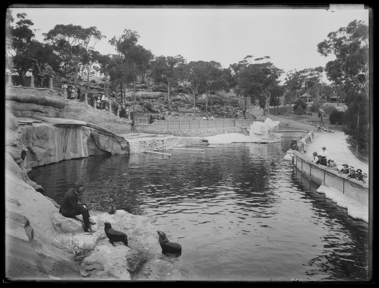 Seal enclosure, Taronga Park Zoo, September 1916. Digital ID NRS4481 7_16381 ST5910