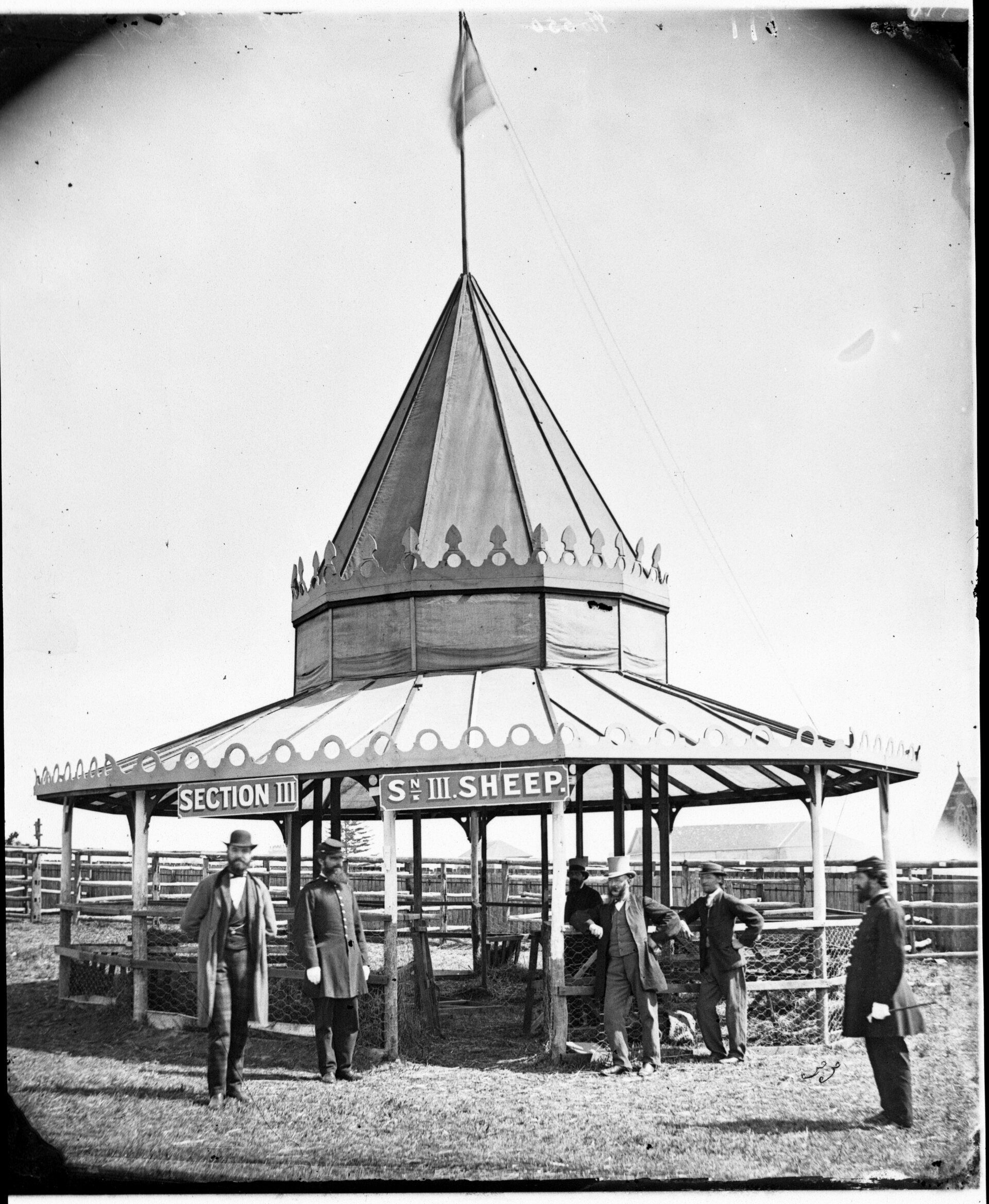 Exhibition building Prince Alfred Park - sheep pavilion NRS-4481-3-[7-16186]-Sh677