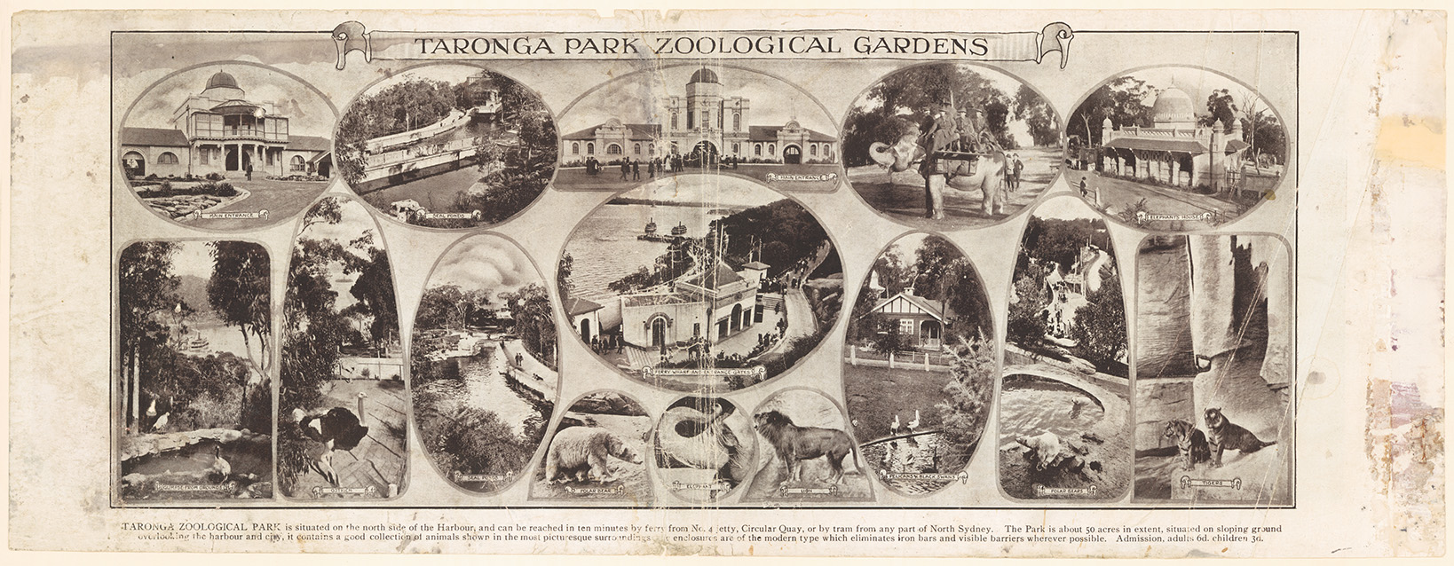 Taronga Zoo, c.1915. Digital ID 20499_a050_000023