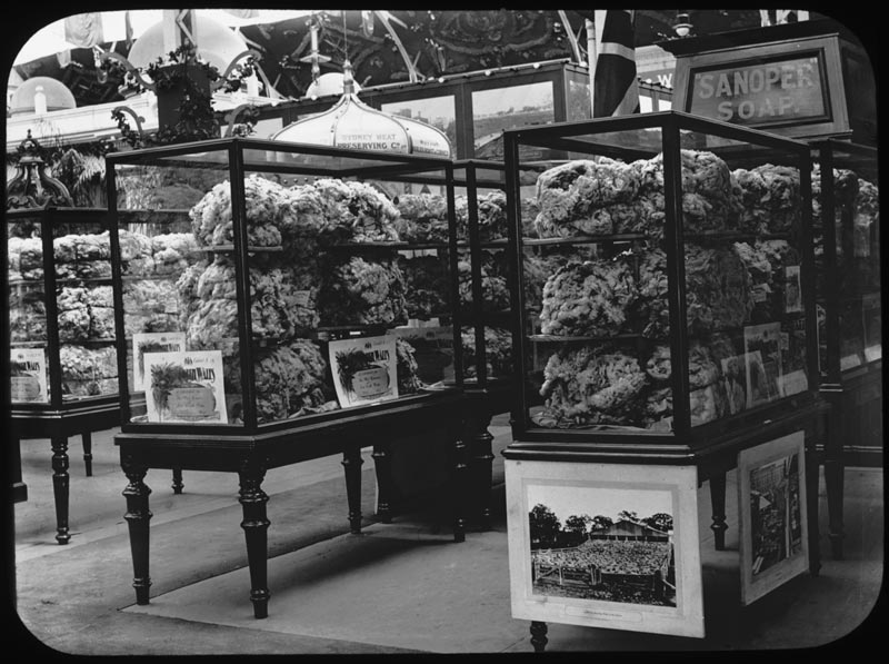 Wool Exhibit, NSW Court at Franco-British Exhibition, London, 1908. Digital ID 14086_a005_a005SZ845000017r Wool Exhibit, NSW Court at Franco-British Exhibition, London, 1908