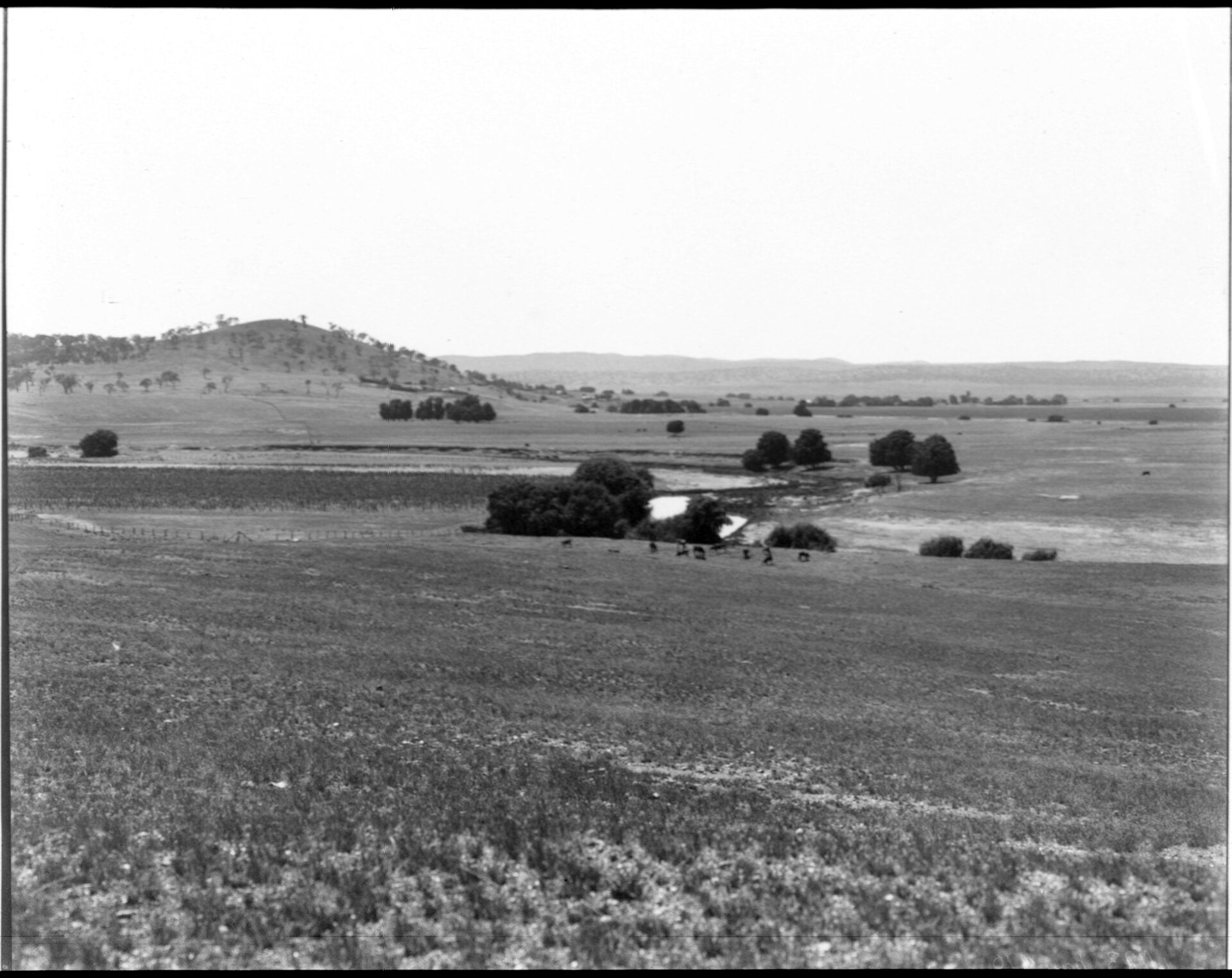 Canberra Federal site from Rottenbury, Trig Station, 1909. d1_11829 