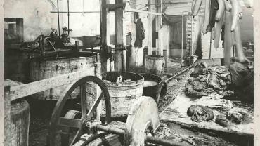 What would you like to purchase from this butcher? Sutton Forest Butchery 761 George Street Sydney, 1900. Digital ID 12487_a021_a021000007