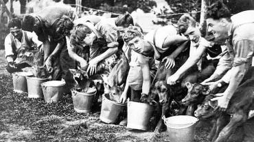Group of boys feeding calves at Scheyville Training Farm, c.1926. Digital ID 5529_a003_a003000025r