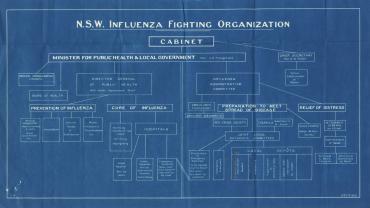 Organisational chart of NSW Influenza Fighting Organization, 1919
