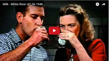 Milk - the White River of Life