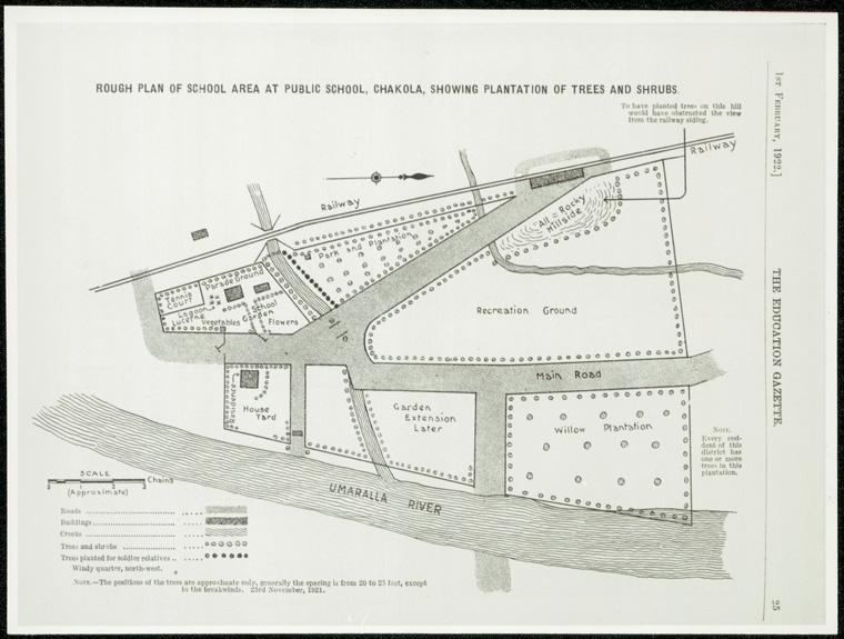 Chakola Public School - Education Gazette - rough plan of school area at Public School Chakola showing plantation of trees and shrubs, 1 Feb 1922. Digital ID 15051_a047_002775