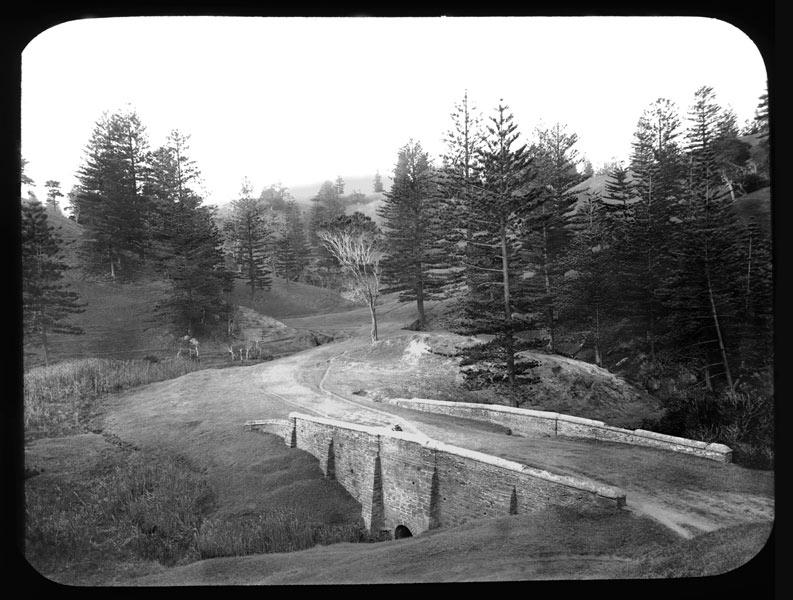 &#039;Bloody Bridge&#039; on Norfolk Island set amongst pine trees, c.1908. Digital ID 14086_a005_a005SZ847000024r