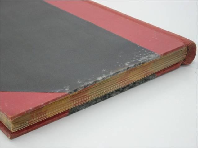 White, fluffy mould like this is common on book volumes and records