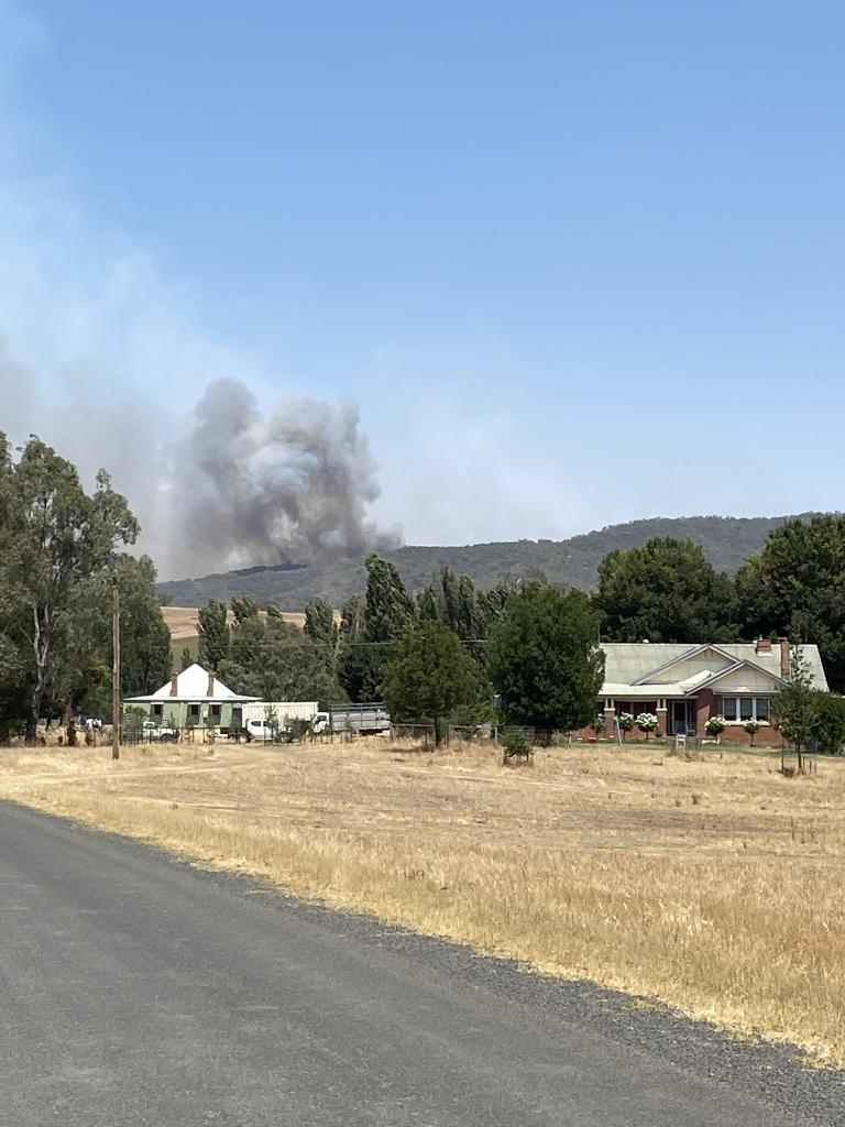 <a href=_https_/www.dpc.nsw.gov.au/assets/bushfire-inquiry-submissions/0128-Andrea-Tulloch-20200325.html target="_blank" title="View the original submission on the Department of Premier and Cabinet website">Submission 0128</a>