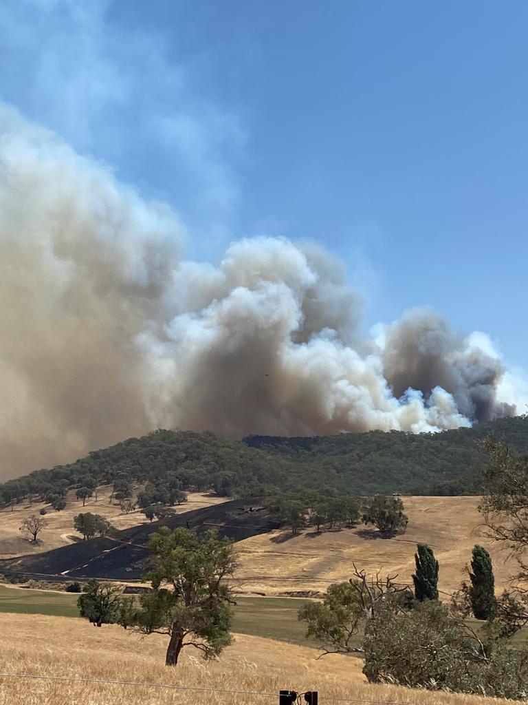 <a href=_https_/www.dpc.nsw.gov.au/assets/bushfire-inquiry-submissions/0128-Andrea-Tulloch-20200325.html target="_blank" title="View the original submission on the Department of Premier and Cabinet website">Submission 0128</a>