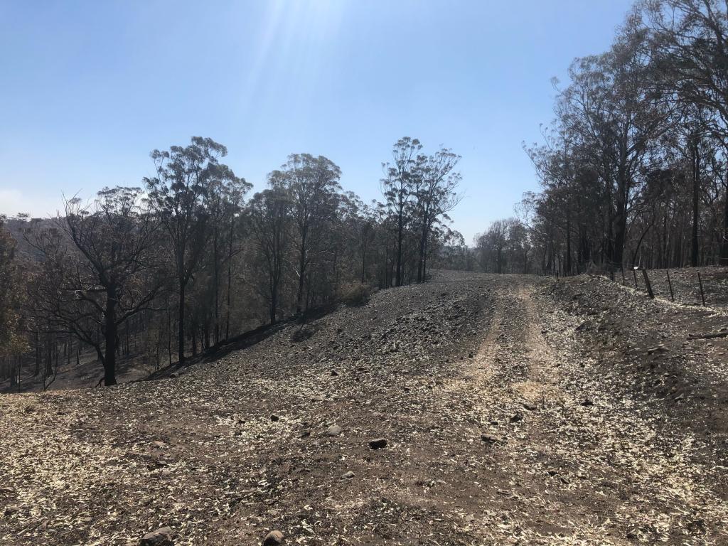 <a href=_https_/www.dpc.nsw.gov.au/assets/bushfire-inquiry-submissions/0134-Andrew-Elks-20200417.html target="_blank" title="View the original submission on the Department of Premier and Cabinet website">Submission 0134</a>