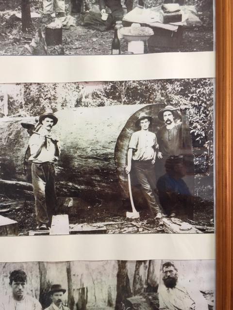 <a href=_https_/www.dpc.nsw.gov.au/assets/bushfire-inquiry-submissions/0135-Andrew-Humphreys-20200223.html target="_blank" title="View the original submission on the Department of Premier and Cabinet website">Submission 0135</a>