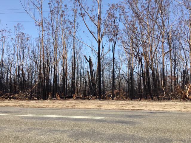 <a href=_https_/www.dpc.nsw.gov.au/assets/bushfire-inquiry-submissions/0135-Andrew-Humphreys-20200223.html target="_blank" title="View the original submission on the Department of Premier and Cabinet website">Submission 0135</a>