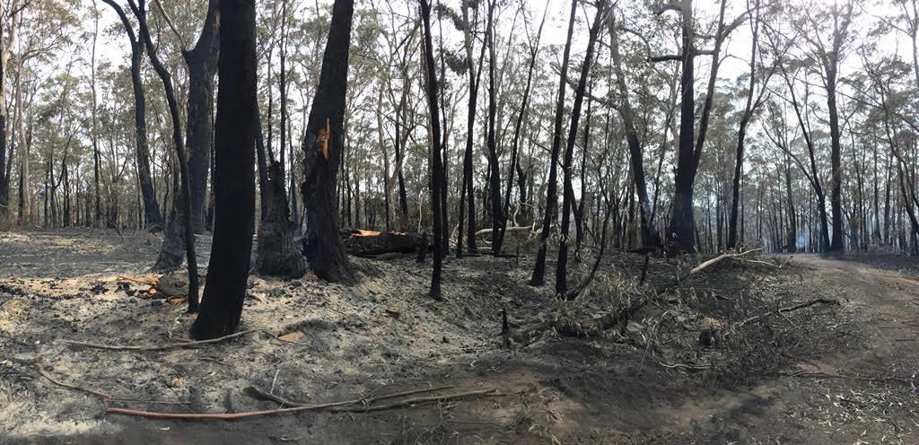 <a href=_https_/www.dpc.nsw.gov.au/assets/bushfire-inquiry-submissions/0144-Anne-Pidcock-20200523.html target="_blank" title="View the original submission on the Department of Premier and Cabinet website">Submission 0144</a>