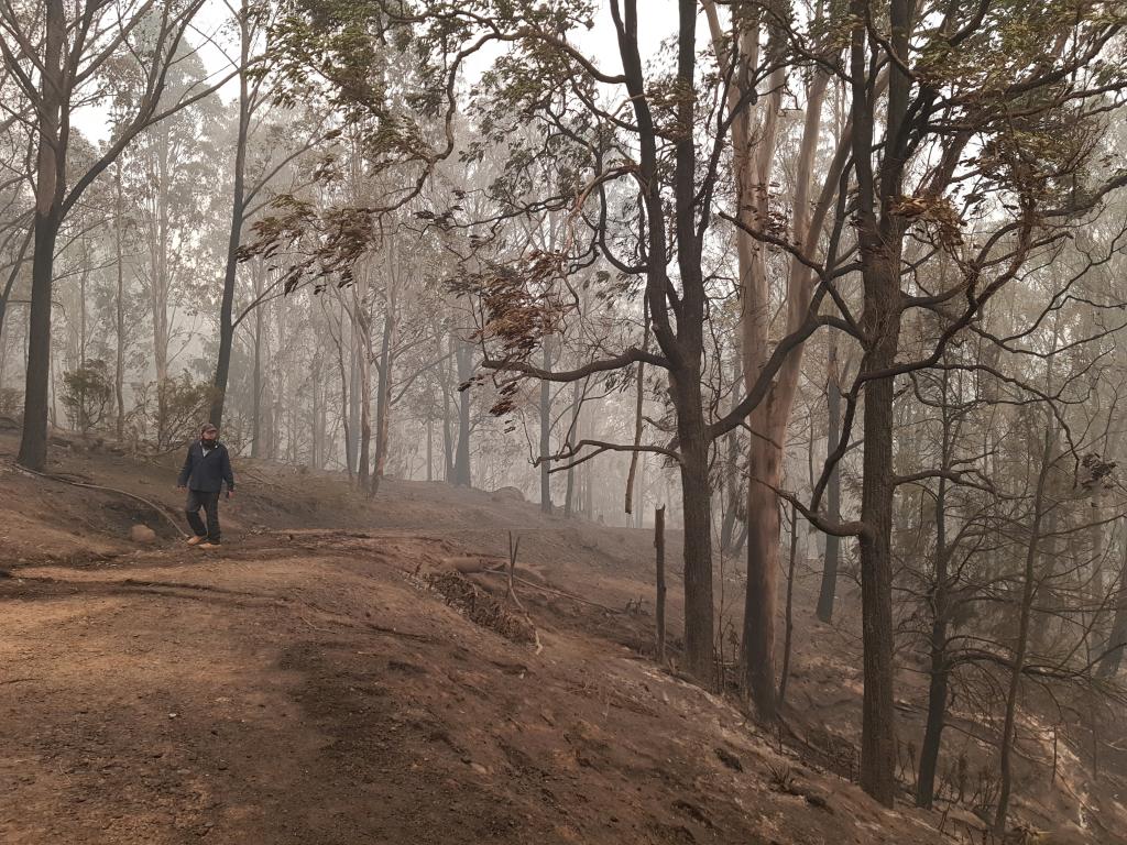 <a href=_https_/www.dpc.nsw.gov.au/assets/bushfire-inquiry-submissions/0289-Dianne-Williams-and-Brad-Hammond-20200430.html target="_blank" title="View the original submission on the Department of Premier and Cabinet website">Submission 0289</a>