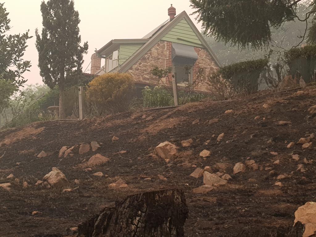 <a href=_https_/www.dpc.nsw.gov.au/assets/bushfire-inquiry-submissions/0289-Dianne-Williams-and-Brad-Hammond-20200430.html target="_blank" title="View the original submission on the Department of Premier and Cabinet website">Submission 0289</a>