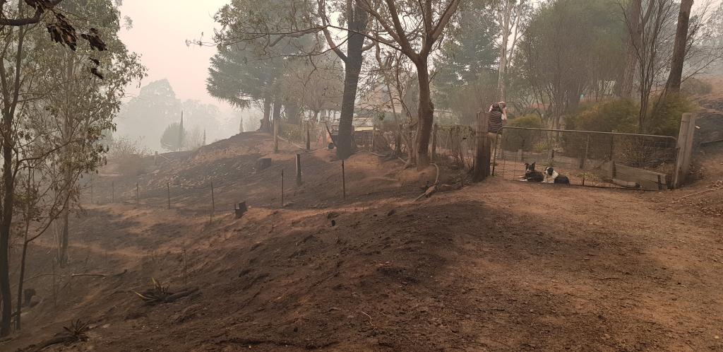 <a href=_https_/www.dpc.nsw.gov.au/assets/bushfire-inquiry-submissions/0289-Dianne-Williams-and-Brad-Hammond-20200430.html target="_blank" title="View the original submission on the Department of Premier and Cabinet website">Submission 0289</a>