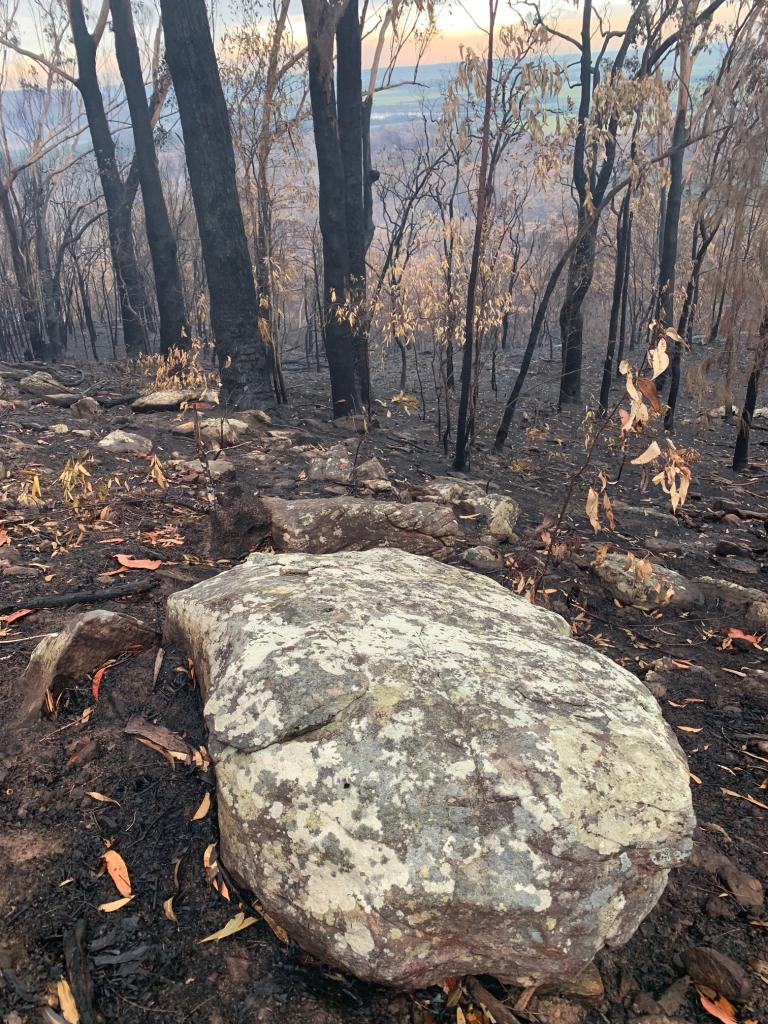 <a href=_https_/www.dpc.nsw.gov.au/assets/bushfire-inquiry-submissions/0027-Anonymous-20200522.html target="_blank" title="View the original submission on the Department of Premier and Cabinet website">Submission 0027</a>