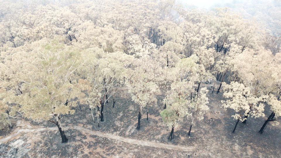 <a href=_https_/www.dpc.nsw.gov.au/assets/bushfire-inquiry-submissions/0027-Anonymous-20200522.html target="_blank" title="View the original submission on the Department of Premier and Cabinet website">Submission 0027</a>