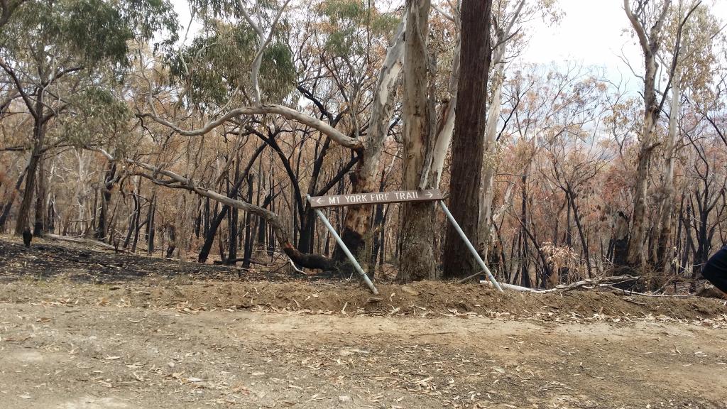 <a href=_https_/www.dpc.nsw.gov.au/assets/bushfire-inquiry-submissions/0363-Frances-Leighton-20200430.html target="_blank" title="View the original submission on the Department of Premier and Cabinet website">Submission 0363</a>