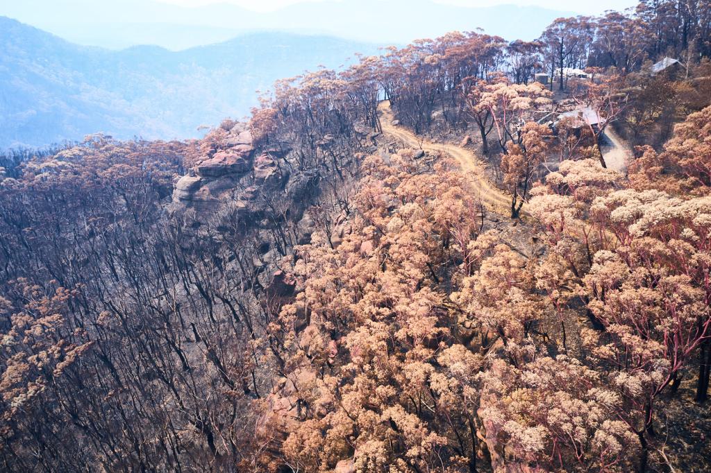 <a href=_https_/www.dpc.nsw.gov.au/assets/bushfire-inquiry-submissions/0377-Garth-Nicholson-20200223.html target="_blank" title="View the original submission on the Department of Premier and Cabinet website">Submission 0377</a>