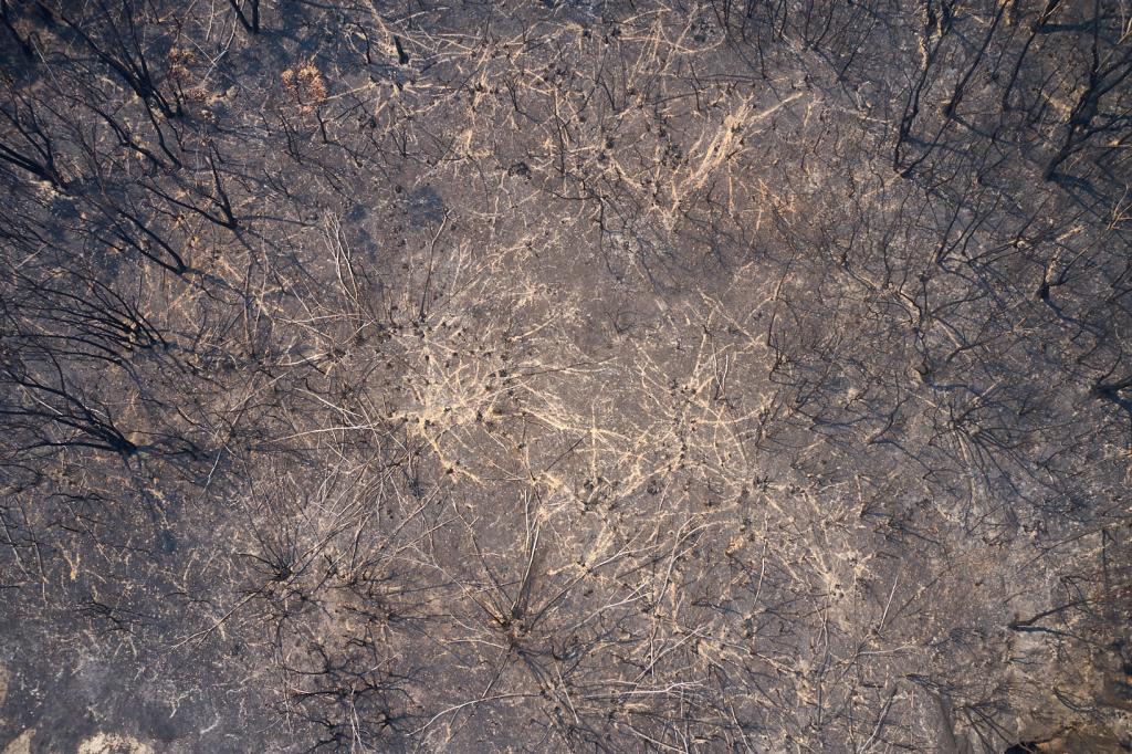 <a href=_https_/www.dpc.nsw.gov.au/assets/bushfire-inquiry-submissions/0377-Garth-Nicholson-20200223.html target="_blank" title="View the original submission on the Department of Premier and Cabinet website">Submission 0377</a>