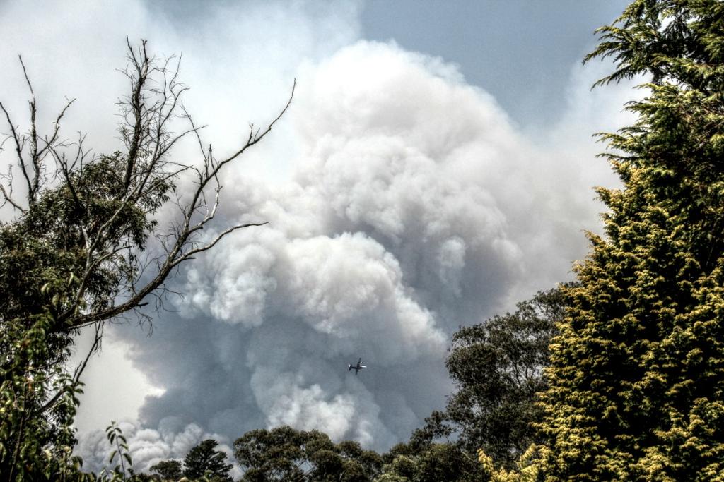 <a href=_https_/www.dpc.nsw.gov.au/assets/bushfire-inquiry-submissions/0063-Anonymous-20200520.html target="_blank" title="View the original submission on the Department of Premier and Cabinet website">Submission 0063</a>