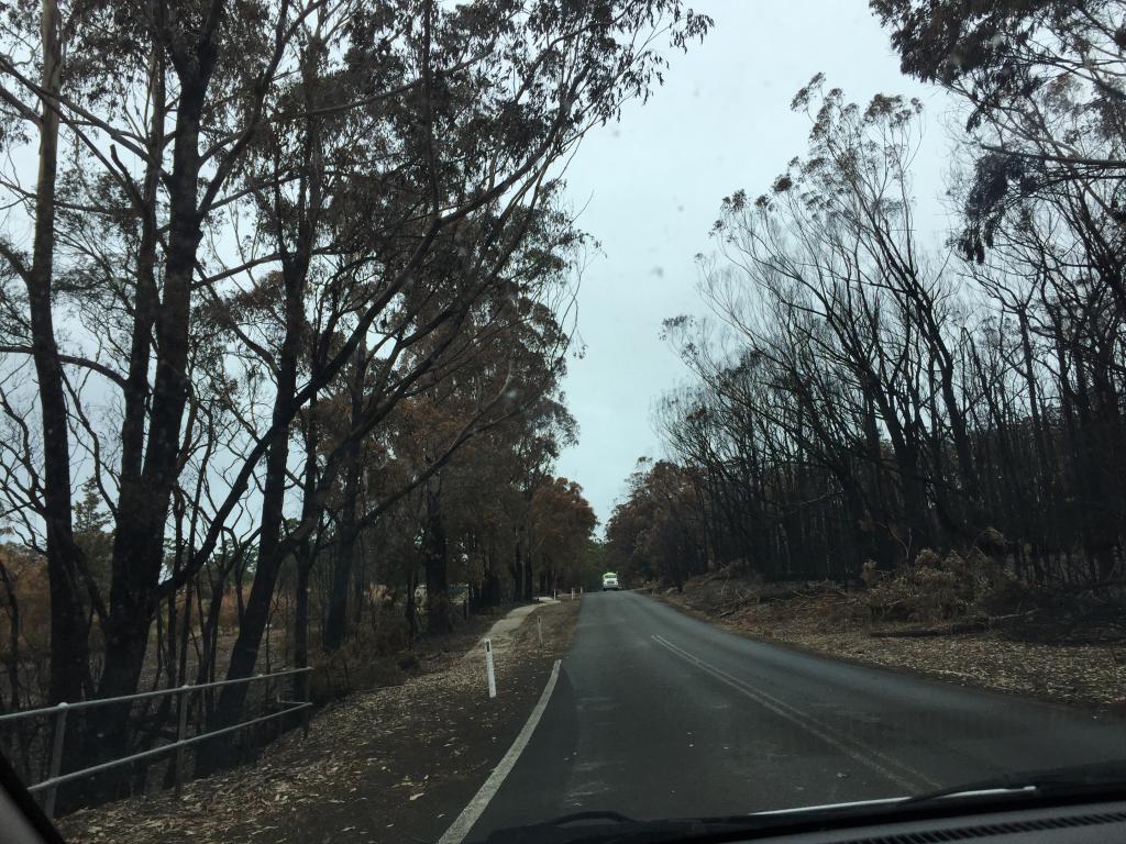 <a href=_https_/www.dpc.nsw.gov.au/assets/bushfire-inquiry-submissions/0070-Anonymous-20200417.html target="_blank" title="View the original submission on the Department of Premier and Cabinet website">Submission 0070</a>