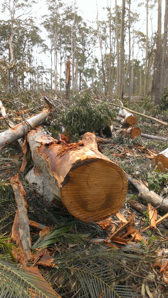 <a href=_https_/www.dpc.nsw.gov.au/assets/bushfire-inquiry-submissions/0602-Nick-Hopkins-20200510.html target="_blank" title="View the original submission on the Department of Premier and Cabinet website">Submission 0602</a>