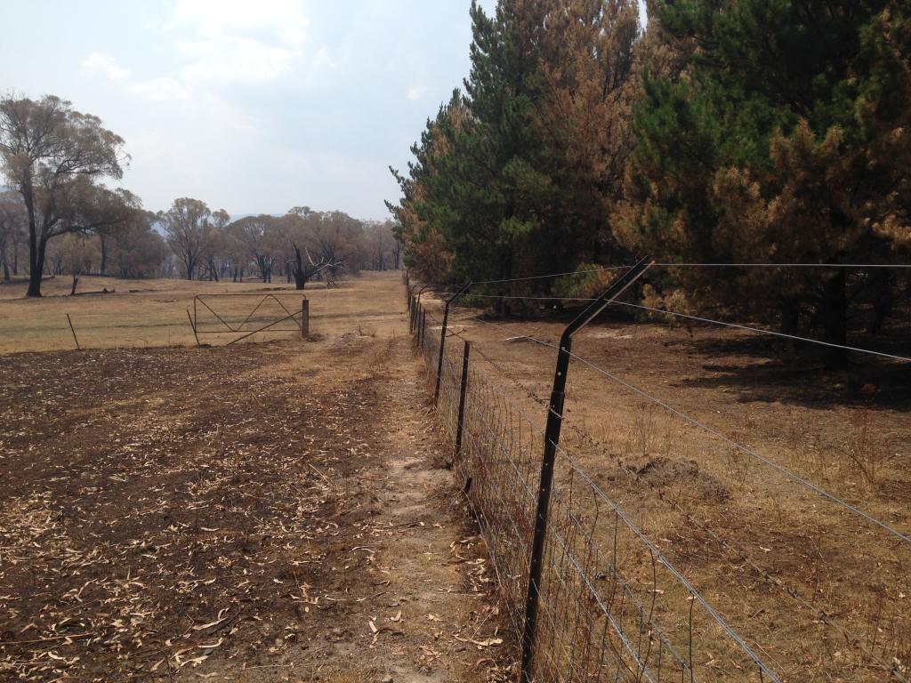 <a href=_https_/www.dpc.nsw.gov.au/assets/bushfire-inquiry-submissions/0650-Roger-Anderson-20200523.html target="_blank" title="View the original submission on the Department of Premier and Cabinet website">Submission 0650</a>