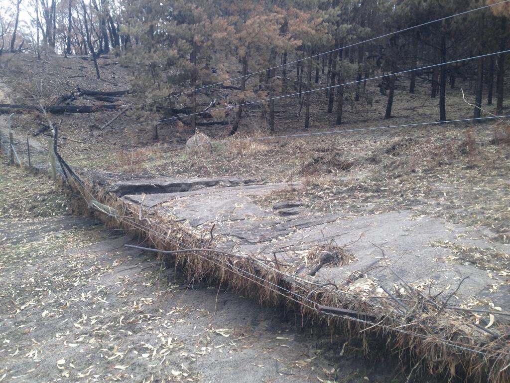 <a href=_https_/www.dpc.nsw.gov.au/assets/bushfire-inquiry-submissions/0650-Roger-Anderson-20200523.html target="_blank" title="View the original submission on the Department of Premier and Cabinet website">Submission 0650</a>