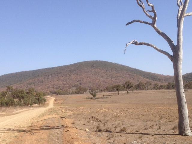 <a href=_https_/www.dpc.nsw.gov.au/assets/bushfire-inquiry-submissions/0847-Sustainable-Living-Armidale-20200417.html target="_blank" title="View the original submission on the Department of Premier and Cabinet website">Submission 0847</a>