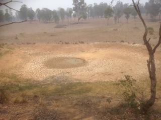 <a href=_https_/www.dpc.nsw.gov.au/assets/bushfire-inquiry-submissions/0847-Sustainable-Living-Armidale-20200417.html target="_blank" title="View the original submission on the Department of Premier and Cabinet website">Submission 0847</a>